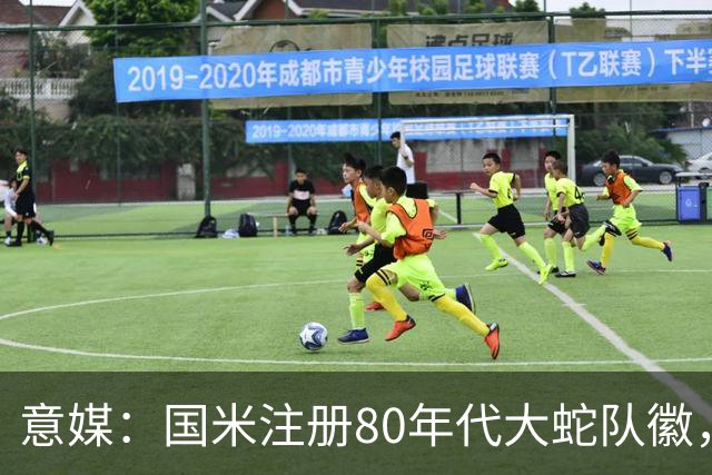 意媒：国米注册80年代大蛇队徽，并加入两颗意甲冠军星