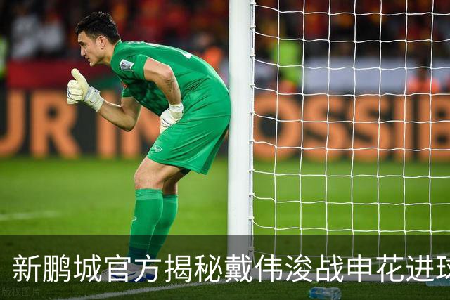 新鹏城官方揭秘戴伟浚战申花进球：早有布局，绝非即兴发挥