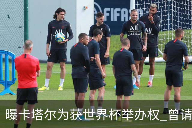 曝卡塔尔为获世界杯举办权 曾请前CIA特工监听FIFA